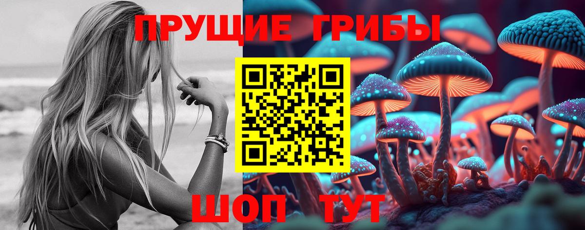 Балашиха  цены наркотик  Вход с VPN  Псилоцибиновые грибы GOLDEN TEACHER  Псилоцибиновые грибы MAGIC MUSHROOMS 