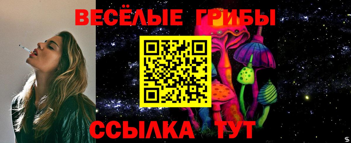 Галлюциногенные грибы GOLDEN TEACHER Балашиха